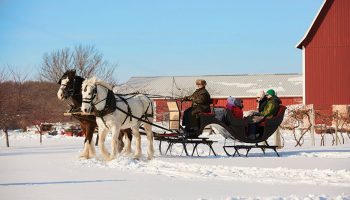 Fabulously British – Winter 2020