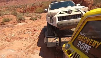 Toyota 4Runner Recovery Turns Into A Pet Rescue.